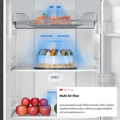TOSHIBA 2 Door Refrigerator (GR-RT466WE-PMTH (52), 11.9 Cubic, Gem 